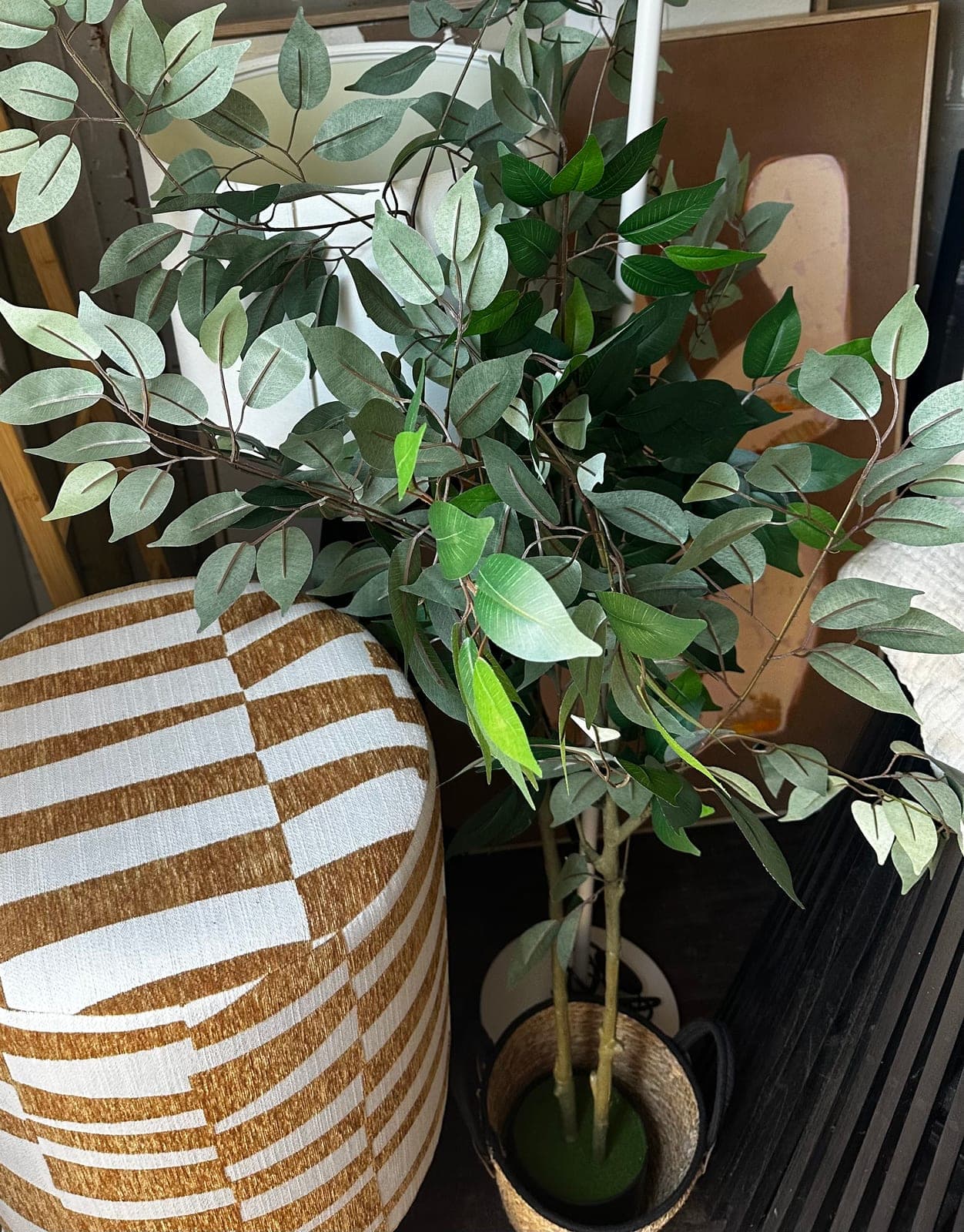 Een plant en een gestreepte poef, klaargezet in de loods